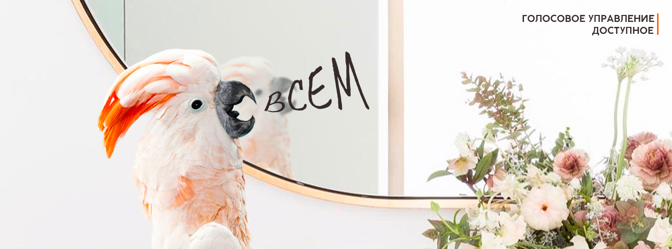 Инновационные зеркала с голосовым управлением Инновационные зеркала с голосовым управлением