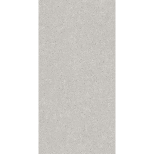 Керамогранит AVS by Italian Design Velluto Grey 60x120 Moon Light Stone
