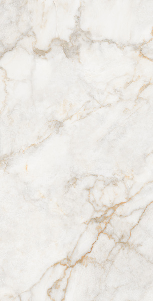 Керамогранит Arcadia Pratonix Beige Carving Pro 60x120