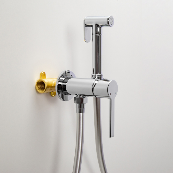 Гигиенический душ со смесителем AVS Elegant хром