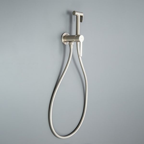 Гигиенический душ со смесителем AVS Elegant брашированный никель